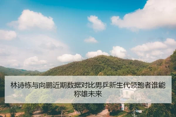 林诗栋与向鹏近期数据对比男乒新生代领跑者谁能称雄未来