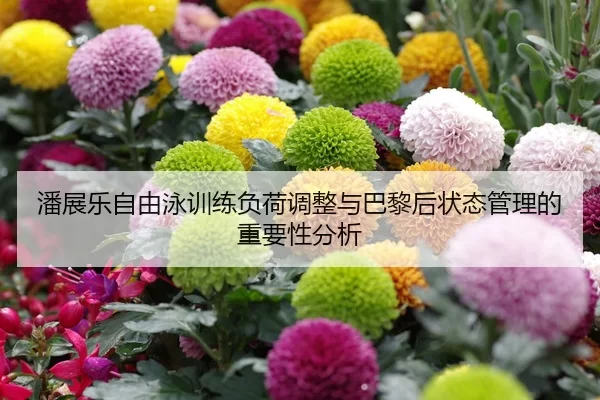 潘展乐自由泳训练负荷调整与巴黎后状态管理的重要性分析