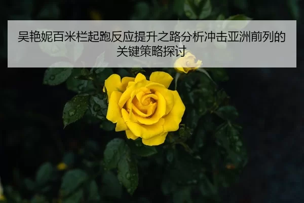 吴艳妮百米栏起跑反应提升之路分析冲击亚洲前列的关键策略探讨
