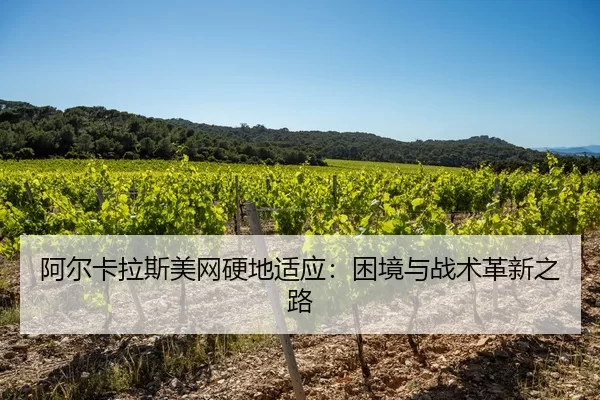 a-er-ka-la-si-mei-wang-ying-di-shi-ying-kun-jing-yu-zhan-shu-ge-xin-zhi-lu-3-514.jpg