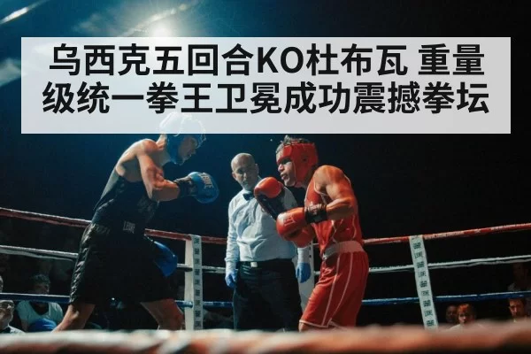 乌西克五回合KO杜布瓦 重量级统一拳王卫冕成功震撼拳坛